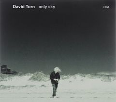 David Torn. Only Sky