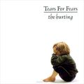 Tears For Fears. The Hurting