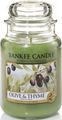   Yankee Candle "   / Olive & Thyme", 110-150 
