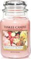   Yankee Candle "  / Fresh Cut Roses", 110-150 