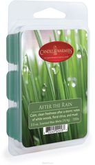   Candle Warmers "  / After the Rain", : , 75 