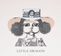 Little Dragon. Little Dragon (LP)