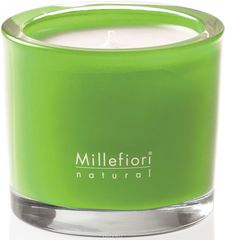 C  Millefiori Milano "    / Green fig & iris", 180 