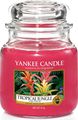   Yankee Candle "  / Tropical Jungle", : ,  12,7 