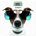 Scarlett SC-BS33E090, Cool Dog  