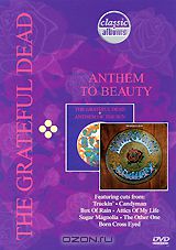 The Grateful Dead: Anthem to Beauty