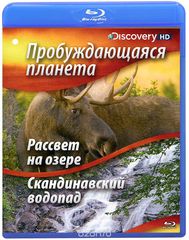 Discovery:  :    /   (Blu-ray)