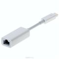 Apple  Thunderbolt-Ethernet (MD463ZM/A)