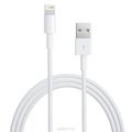 Apple Lightning to USB Cable (MD818ZM/A)