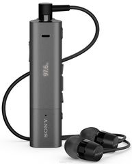 Sony SBH54, Black Bluetooth 