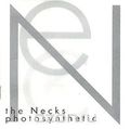 The Necks. Photosynthetic