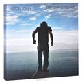 Elton John. The Diving Board (2 LP + CD + DVD)