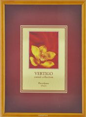  Vertigo "Veneto", 15 x 21  12180