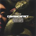 Combichrist. This Is Where Death Begins