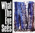 . Gerard McBurney's. What The Eye Sees