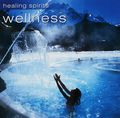 Healing Spirits. Wellness (CD)