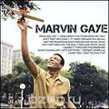 Marvin Gaye. Icon