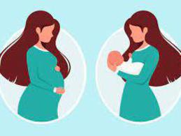 Более 9000 беременных женщин Ставрополья получают единое пособие по линии СФР Более 9000 беременных женщин Ставрополья получают единое пособие по линии СФР