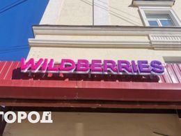  : ,    Wildberries  Ozon,    13 