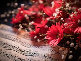 ��� ��������