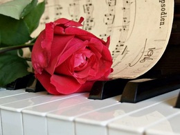 ������ ����� ��������