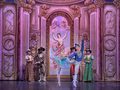 Спящая красавица