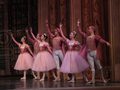 Спящая красавица