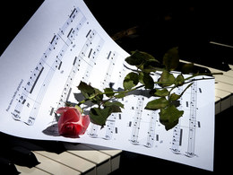 �����. ������� �������� ��� 1000 ������