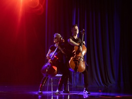 Renaissance Cellos.  -  