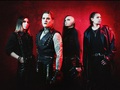Neverlove