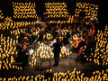Luminous orchestra.    