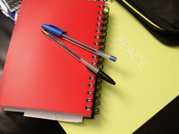 ���� ��� ���������