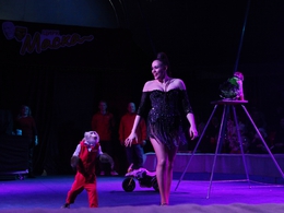 ���� ������ �����