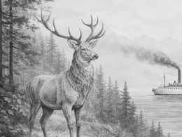 ����� �������