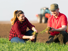 � ������ �������� 2020 ���� ������������� ������ ���� ��������������� �������� �� 7,3 ���� ������