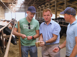 ��������, ��� ������� �������: ��������� ������ ��������� � ������ ����� ������