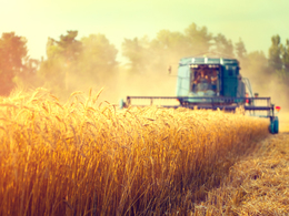 ���� ��������������� �������� ������ �� ������ � � ������ �� 21,6 ���� ������ � ������ ����