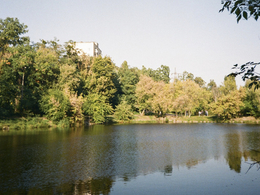 ����� ��������� ���� � ������ ������ ���. ��������: ��� DOGMA ������������ �������������� ����� ���������