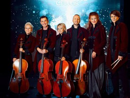  Renaissance Cellos.    