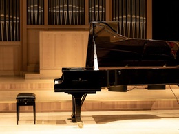 �������� �����. �������� Steinwey-���������