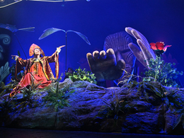 �������� ��������