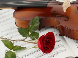 �����������. ������������� ����� ��� 1000 ������