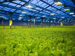 � ����������� ������� ������ �������� ��������� ������� ��� ���������� � �� ���������