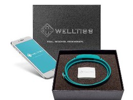 �������� ������������� �������� �������� ���� ������������ ����� ����� �������-�������� WELLTISS