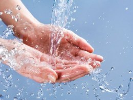 ���� ����������� ������������ ������ ���������� ����������������� �������� ��� �����������