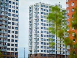 ����� ���������� ����� ���������� ����������� � ������ ��������� 2020 ���� �������� �� ���������� (��������)