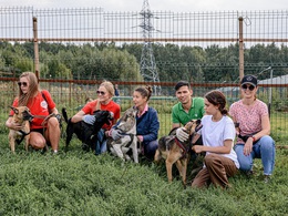 ������������� ��������� �������� � ������ ������ � ����������� ����� 17 ���� ������