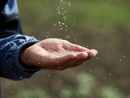 ������ ������� ����������� ���������� ������-������ ��� ���������� ��������