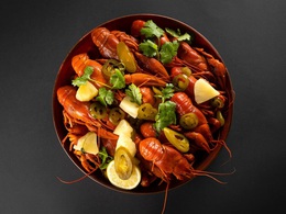 ���� � ����