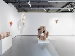  MSCA Gallery